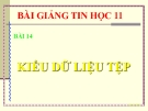 Bài giảng Kiểu dữ liệu tệp - Tin học 11 - GV.L.B.Kiều