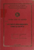 Khóa luận tốt nghiệp: Phát triển hệ thống nhượng quyền thương mại của Phở 24
