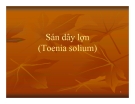 Bài giảng Sán dây lợn (Toenia solium)