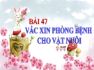 Bài giảng Công nghệ 7 bài 47: Vác xin phòng bệnh cho vật nuôi