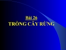 Bài giảng Trồng cây rừng - Công nghệ 7 - GV. L.M.Trang