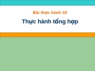 Bài thực hành 10: Thực hành tổng hợp - Tin lớp 7