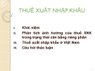 Bài giảng môn Thuế xuất nhập khẩu