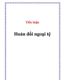 Tiểu luận: Hoán đổi ngoại tệ