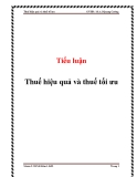 Tiểu luận: Thuế hiệu quả và thuế tối ưu