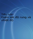 Tiểu luận Giám sát độ rung và nhiệt độ