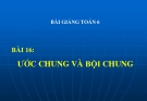 Bài giảng Số học 6 chương 1 bài 16: Ước chung và bội chung