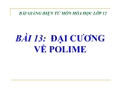 Bài giảng Hóa học 12 bài 13: Đại cương về polime