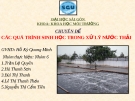 Bài thuyết trình chuyên đề: Các quá trình sinh học trong xử lý nước thải