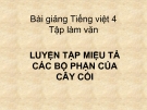 Bài Tập làm văn: Luyện tập tả các bộ phận của cây - Bài giảng điện tử Tiếng việt 4 - GV.N.Phương Hà