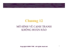 Bài giảng Lý thuyết kinh tế học vi mô: Chương 12 - GV. Đinh Thiện Đức