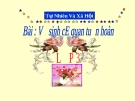 Bài giảng Vệ sinh cơ quan tuần hoàn - Tự nhiên xã hội 3- GV. Đ.T.Lý