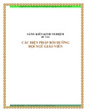 Sáng kiến kinh nghiệm: Các biện pháp bồi dưỡng đội ngũ giáo viên