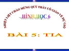 Bài giảng Hình học 6 chương 1 bài 5: Tia