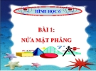 Bài giảng Hình học 6 chương 2 bài 1: Nửa mặt phẳng