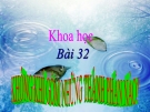 Slide bài  Không khí gồm có  những thành phần nào - Khoa học 4 - GV.B.N.Kha