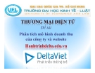 Tiểu luận: Phân tích mô hình doanh thu của công ty và website Hanhtrinhdeltaviet.edu.vn