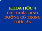 Bài 4: Các chất DD trong thức ăn- VT chất bột đường - Bài giảng điện tử Khoa học 4 - T.B.Minh