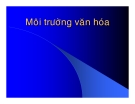 Bài giảng Kinh doanh quốc tế - Môi trường văn hóa