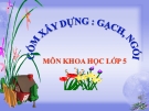 Slide bài Gốm xây dựng gạch, ngói - Khoa học 5 - GV.B.N.Kha