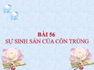 Slide bài Sự sinh sản của côn trùng - Khoa học 5 - GV.B.N.Kha