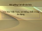Bài giảng Cơ sở văn hóa Việt Nam: Văn hóa Việt Nam, sự thống nhất trong đa dạng