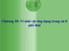 Bài giảng Vi sinh vật ứng dụng trong xử lý phế thải (chương 10)