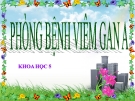 Bài 15: Phòng bệnh viêm gan A - Bài giảng điện tử Khoa học 5 - T.B.Minh