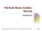 Bài giảng Tài chính phái sinh: Chương 13 - Mô hình Black-Scholes-Merton