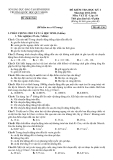 Đề thi kiểm tra học kì I môn Vật lý lớp 10 năm học 2011 - 2012 - Trường Quốc học Quy Nhơn - Mã đề 136