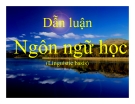 Bài giảng Dẫn luận ngôn ngữ - Chương VI: Ngữ pháp