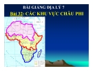 Bài giảng Địa lý 7 bài 32: Các khu vực châu Phi