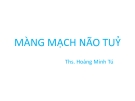 Bài giảng Màng mạch não tủy - Ths. Hoàng Minh Tú