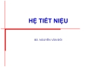 Bài giảng Hệ tiết niệu - BS. Nguyễn Văn Đối