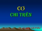 Bài giảng  Cấu tạo cơ chi trên