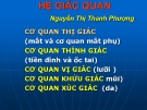 Bài giảng Hệ giác quan - Nguyễn Thị Thanh Phượng