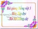 Bài giảng Tập đọc: Bài hát trồng cây - Tiếng việt 3 - GV.N.Phương Mai