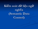 Bài giảng Kiểm soát dữ liệu ngữ nghĩa (Semantic Data Control)