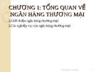 Bài giảng Tín dụng ngân hàng: Chương 1 - GV. Trần Nguyễn Trùng Viên