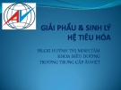 Bài giảng Giải phẩu và sinh lý hệ tiêu hóa - BS Huỳnh Thị Minh Tâm