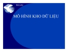 Báo cáo: Mô hình kho dữ liệu