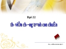 Bài giảng Điện tử Tin học lớp 11: Bài 22