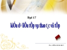 Bài giảng Điện tử Tin học lớp 11: Bài 17