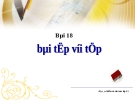 Bài giảng Điện tử Tin học lớp 11: Bài 18