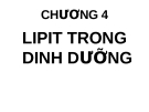 Bài giảng Dinh dưỡng: Chương 4 - GV. Võ Thị Thu Thủy