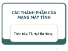 Bài giảng Mạng máy tính: Chương 10 - TS. Ngô Bá Hùng