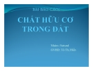 Bài báo cáo: Chất hữu cơ trong đất