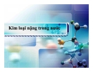 Bài thuyết trình: Kim loại nặng trong nước