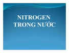 Báo cáo: Nitrogen trong nước