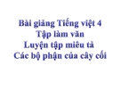 Bài giảng Tiếng việt 4 tuần 22 bài: Luyện tập miêu tả các bộ phận của cây cối